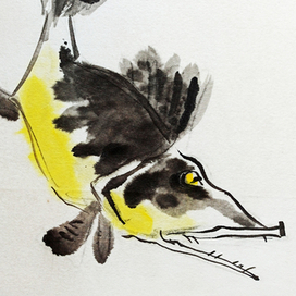 Зубастая рыба