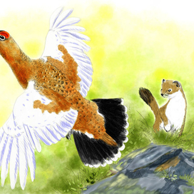 Несостоявшийся обед