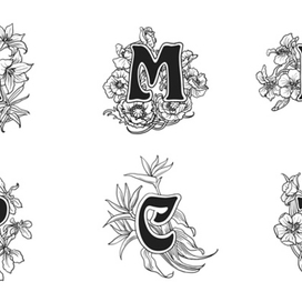 Буквицы два