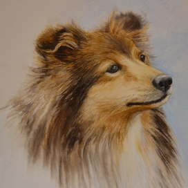 Лучьший друг