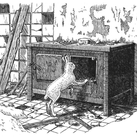 An abandoned pioneer camp.