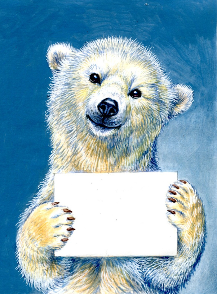 Я белый медведь