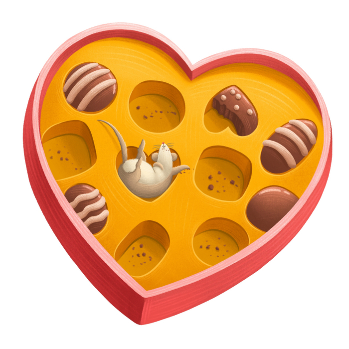 Мышь в шоколаде