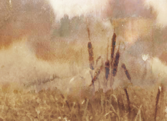 На утренней зорьке