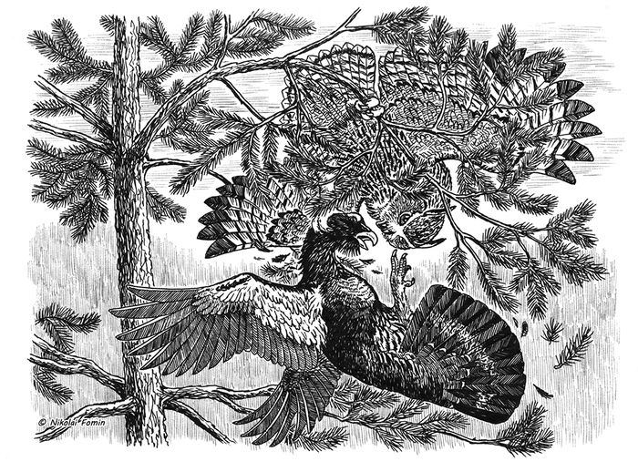 Глухариный душегуб.