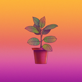 цветок в горшке