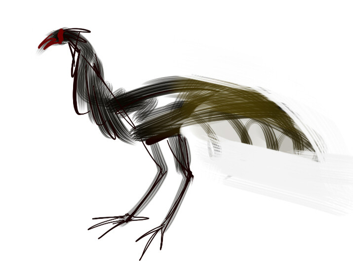 бойцовый  петух