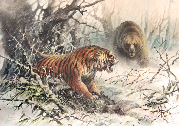 Амба. Опять пришёл...!