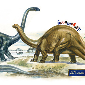 В глубь времен