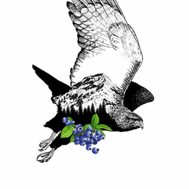 Рис.  тестовое задание...для принта