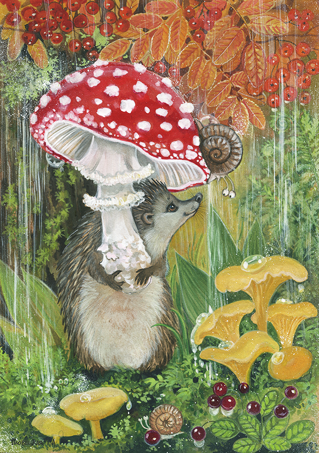 Новый зонт ежика