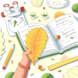 Ботаническое исследование