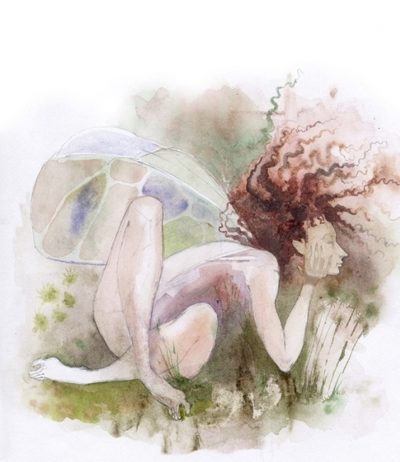 (без названия)