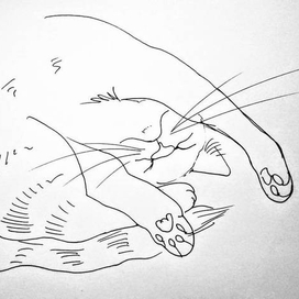 Линия кошки