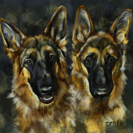 восемь месяцев