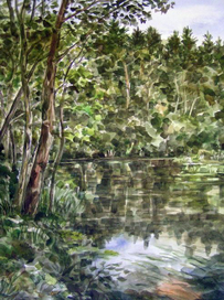 В заводи лесного озера