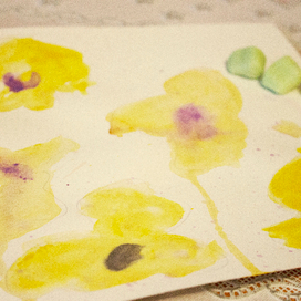 Золотистые маки