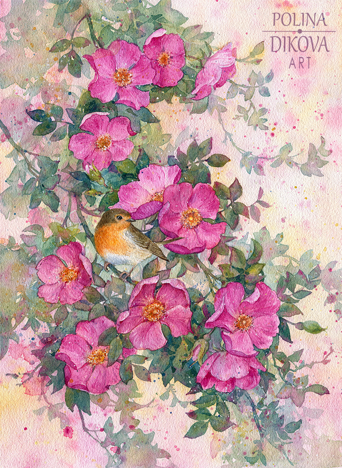 Розовый шиповник