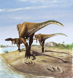 Megalosauripus
