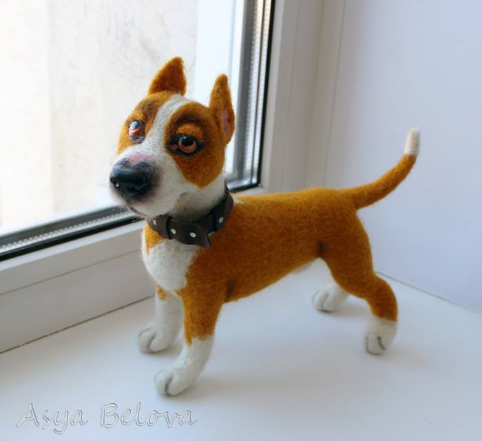 Стафик по кличке Бакс