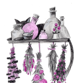 Ведьмин кот в баночках на полке