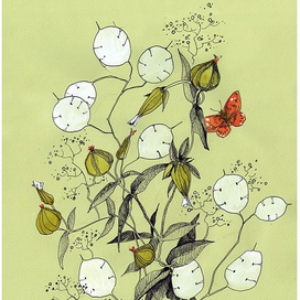 Разнотравье