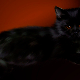 кот бегемот