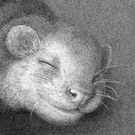 Сладких снов...