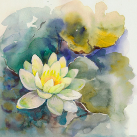 Цветок лотоса