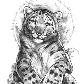 Снежный барс