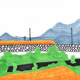 Время жатвы