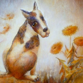 Одуванчики