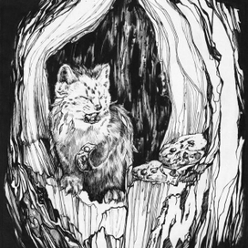 ** Соболь-друид и шоколадное печенье **