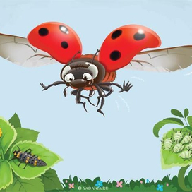 Божья коровка