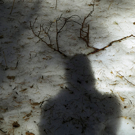 Ревность ...