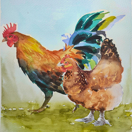 Курочка и петух