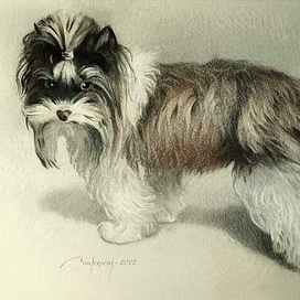 ,,Здрасти, меня зовут Лиана...!,,