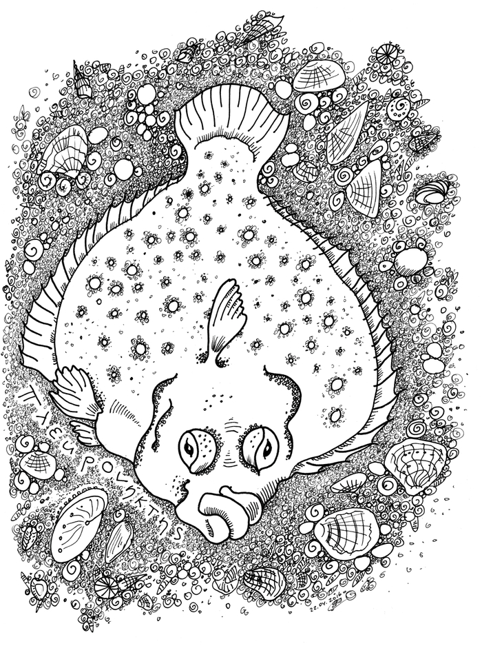 Камбала Черноморская