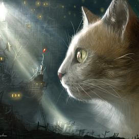 The cat and the girl