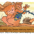 Волшебное перо или зачем павлину такой хвост