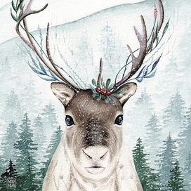 Пушистый нос, пушистый снег