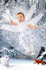 Частный заказ, коллаж «СнеЖана»