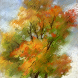 Осенний клен