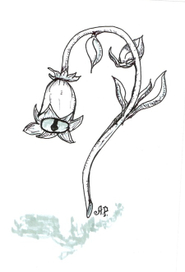 “Колокольчик"