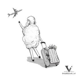 Из жизни Волли