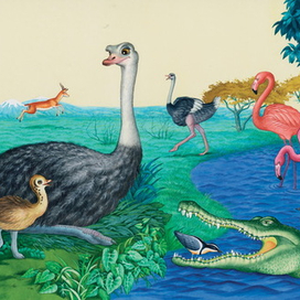 птичьи тайны