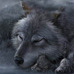 Духи местности