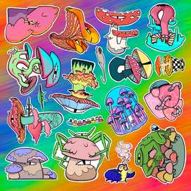 Mushrooms see everything