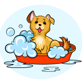 Купание щенка puppy washes