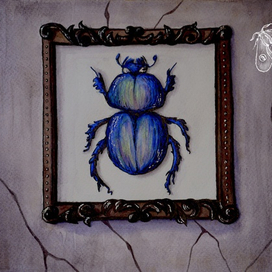 Скарабей / Scarab